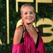 Sharon Stone provocatoria: essere famosi è davvero costoso!