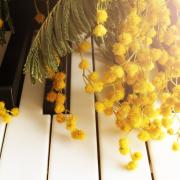 8 marzo: per la Giornata Internazionale della donna, la grande musica di Radio Monte Carlo è tutta al femminile!