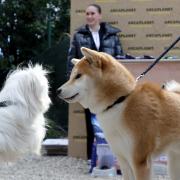 ARCAPLANET a Sanremo | la photogallery 