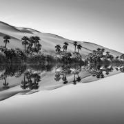 Aqua Mater- Sebastião Salgado