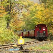Autunno: ritorna il treno del foliage