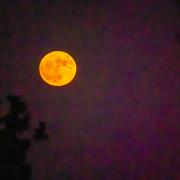 Arriva la Superluna più grande dell'anno