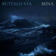 Buttalo via