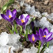 Arriva l’Equinozio di Primavera del 2025