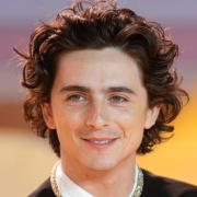 Timothée Chalamet  forse al festival di Glastonbury. Nei panni di Bob Dylan