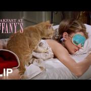 Colazione da Tiffany: la casa della protagonista in vendita per 15 milioni di dollari. Le bellissime foto