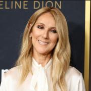 Celine Dion felice al concerto dei Coldplay. E Chris Martin le dedica una serenata. Il video