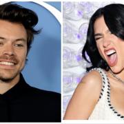 Da Harry Styles a Leonardo DiCaprio, i 2 di picche collezionati dalle celebrità