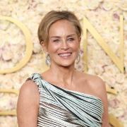 Sharon Stone: Guadagno più nella moda che col cinema