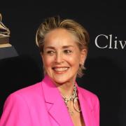 Sharon Stone dice no a un nuovo Basic Istinct