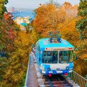 Foliage: ecco le città dove ammirarlo a bordo di  tram storici  