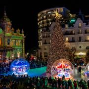 La Principessa Charlene affascinante alla cerimonia di illuminazione della Place du Casino