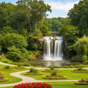 La “Lanterna delle Fate”: la rara pianta rosa scoperta in Malesia