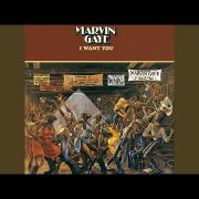 Marvin Gaye - I Want You

