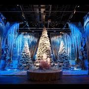 La cena di Natale? E' con Harry Potter!
