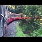 Scopri l'incredibile ferrovia centenaria nel cuore della foresta: il video