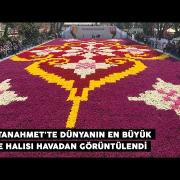 Il tappeto di tulipani più grande del mondo è in Turchia!