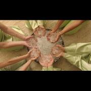 Lorde - Moon Ring