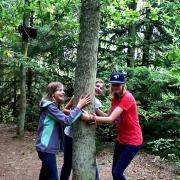 L’albero che emette suoni: se accarezzi il tronco, lui ti risponde