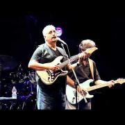 Pino Daniele: adesso le sue canzoni si studiano a scuola