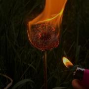 Milano PhotoVogue Festival 2022