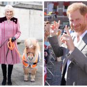 E ora il Principe Harry accusa Camilla
