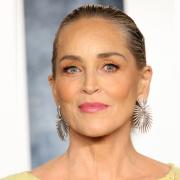 Sharon Stone: la foto sorprendente