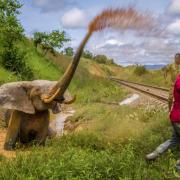 Assegnati i premi per il concorso di Fotografia Ambientale 2023
 
