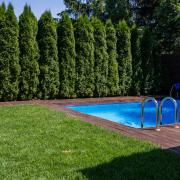 La piscina? Adesso è condivisa