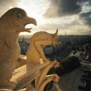Adotta un Gargoyle e salva Notre-Dame!