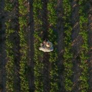 Gli italiani riscoprono la campagna: 20 mila richieste di lavoro