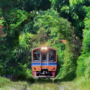 Ecco la linea ferroviaria più romantica d'Italia
