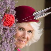 Camilla non sarà mai Regina, O no?