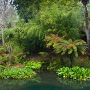 Mistero e magia: gli affascinanti Giardini perduti di Heligan