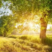5 giugno: Giornata Mondiale dell'Ambiente
