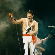 Freddie Mercury.  Forse non sapevi che...