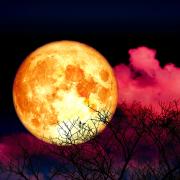 La luna piena del 16 maggio porterà fortuna a questi segni