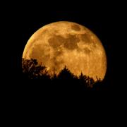 Spettacolo nel cielo con la la meravigliosa luna d'oro