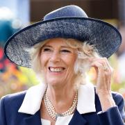Camilla posa con migliaia di orsetti Paddington in omaggio alla Regina Elisabetta: la foto