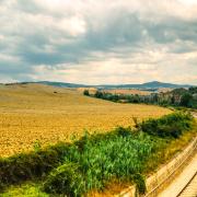 In treno in Val d'Orcia alla scoperta del tartufo