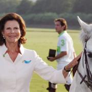 Un gioiello reale speciale: la spilla tucano della Regina Silvia di Svezia 