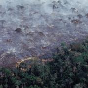 L'Amazzonia è in fiamme e il fumo si vede anche nello Spazio. Le immagini