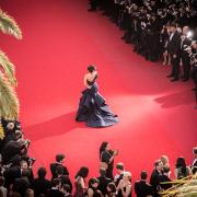 Festival del Cinema di Cannes: i film più attesi