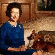 La Regina Elisabetta e i suoi inseparabili corgi