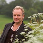 Sting e quel bellissimo video per la Natura