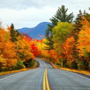 Ecco cosa causa il foliage: tutte le curiosità su questo splendido fenomeno naturale