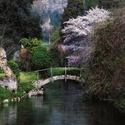 I Giardini di Ninfa mostrano tutta la bellezza della primavera