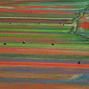 Castelluccio di Norcia: la spettacolare fioritura