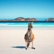 Scopri il Western Australia, una terra meravigliosa