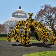 Zucche e pois: le incantevoli opere della Kusama invadono il New York Botanical Garden
